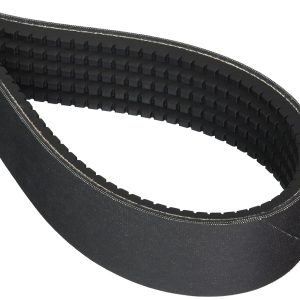 Banded Belts
